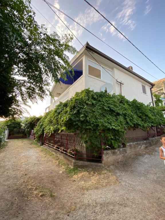 Apartment Guest House
